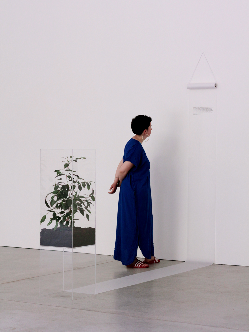 2-definition-begriff-inhalt-1